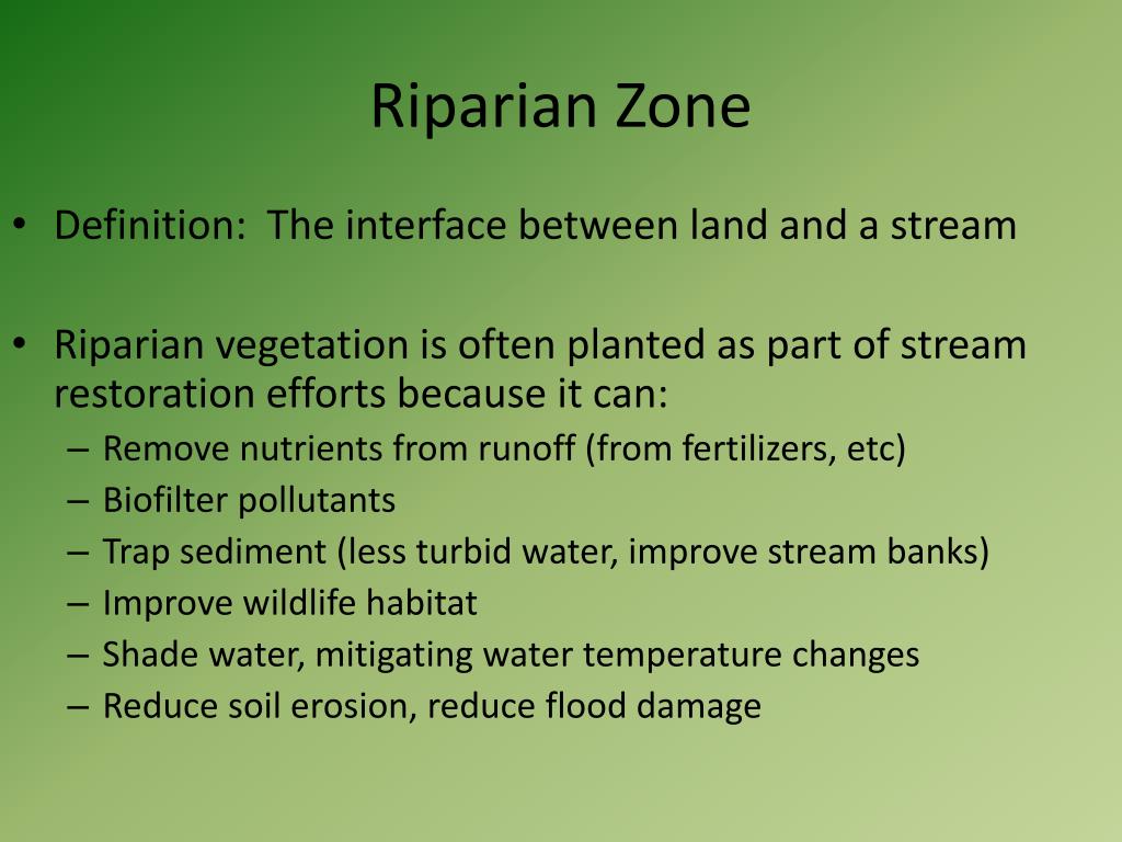 Zone definition. Riparian Zones. Ecology Definition. Ecology is the study of interactions. Ecological Definitions.