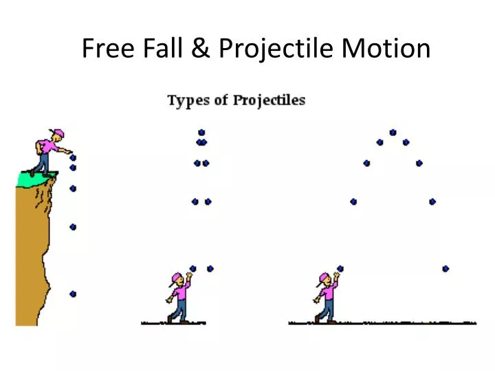 freefall position physics freefall position physics
