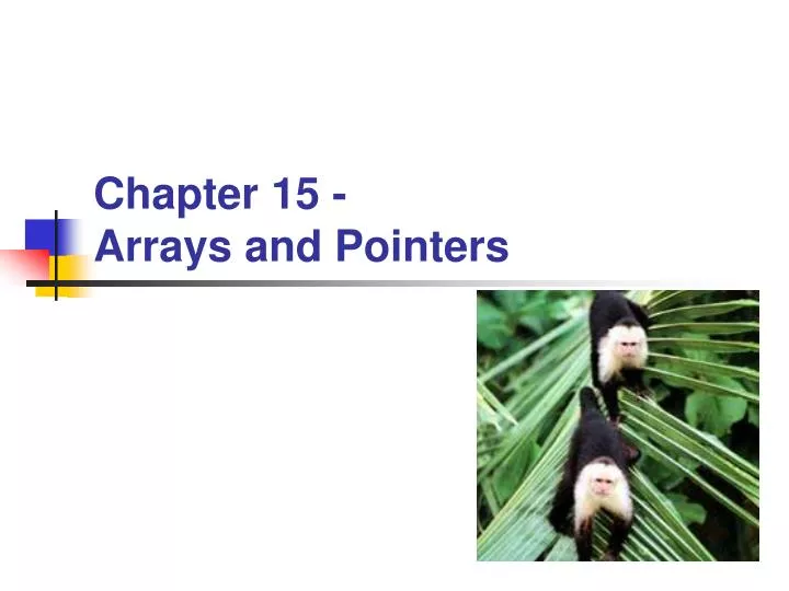 PPT - Chapter 15 - Arrays and Pointers PowerPoint Presentation, free ...