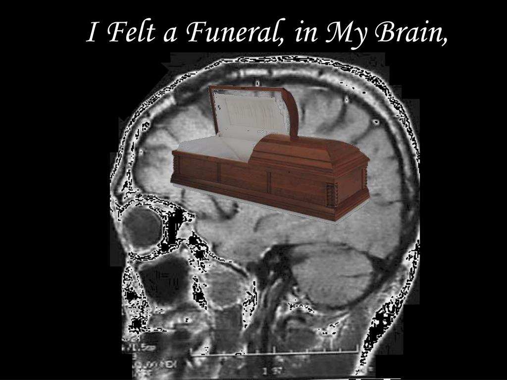 a funeral in my brain