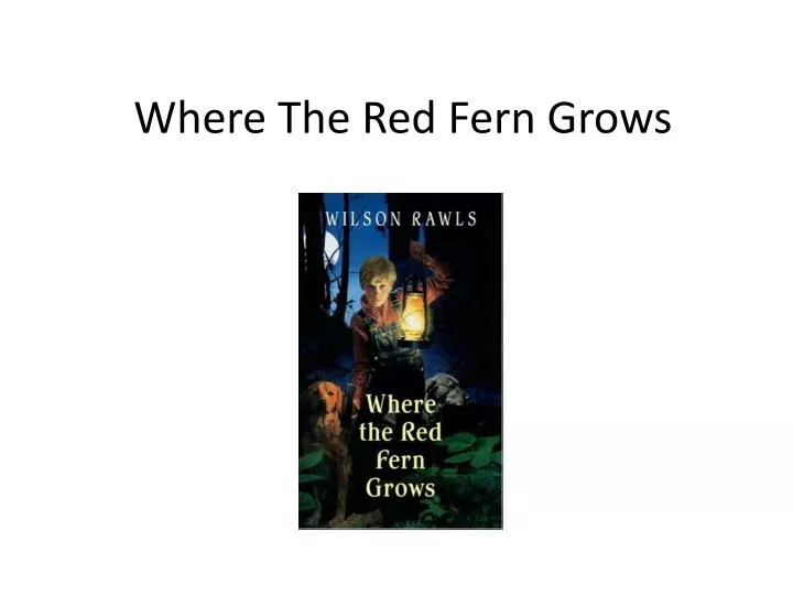 where the red fern grows n.