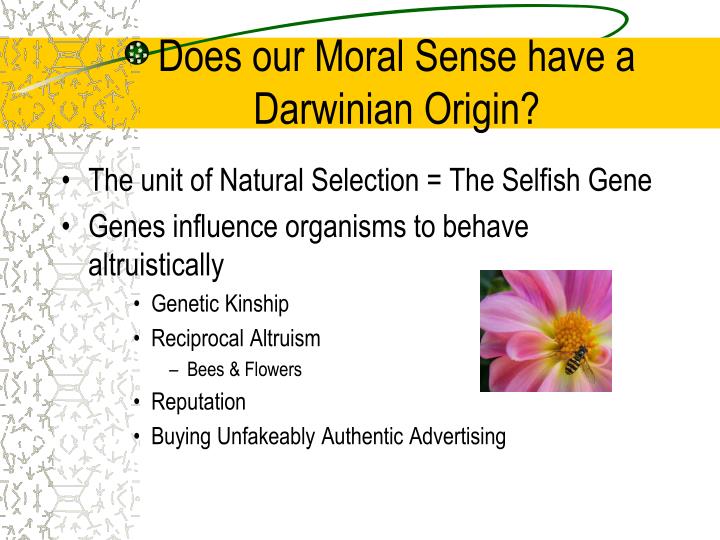 altruism vs the selfish gene essay Why the altruism why the altruism discussion feb 12, 2014 79 the world of the selfish gene revolves around savage competition, ruthless exploitation. altruism vs the selfish gene essay Why the altruism why the altruism discussion feb 12, 2014 79 the world of the selfish gene revolves around savage competition, ruthless exploitation.