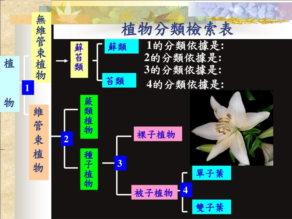 Ppt 逛百貨公司去 Powerpoint Presentation Free Download Id