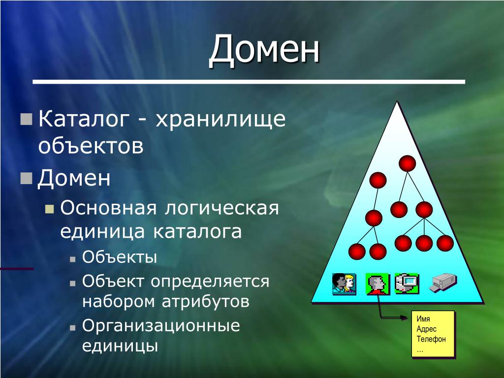 Объект домена. Домен каталог. Доменный объект.