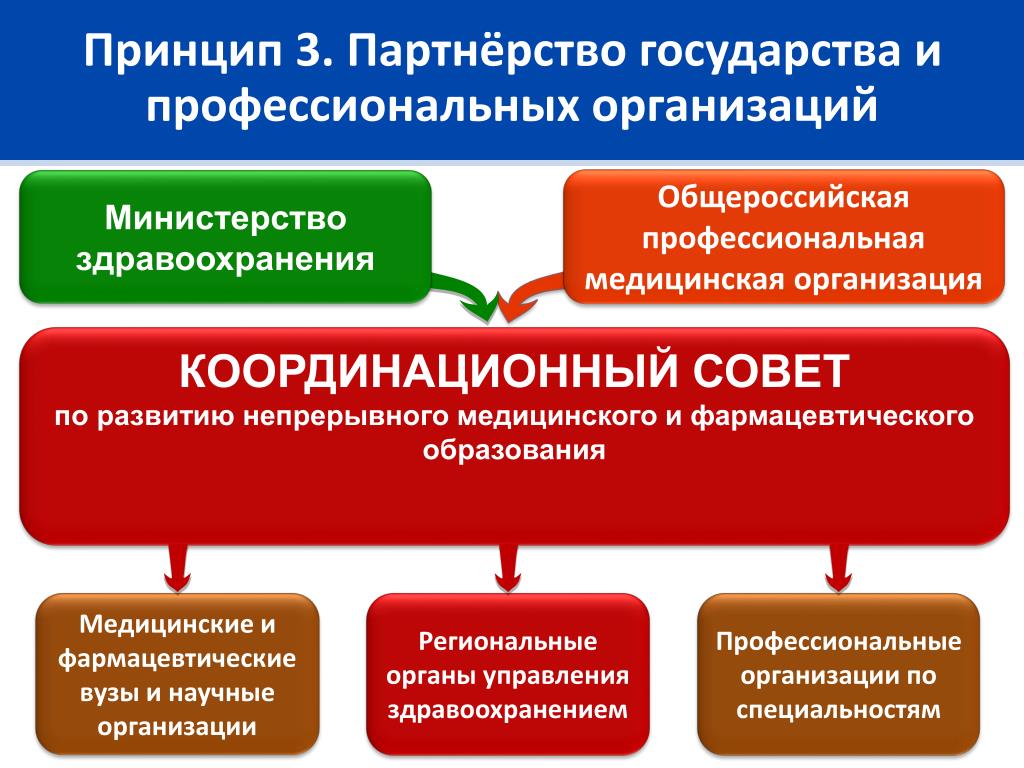 Организационно координирующая