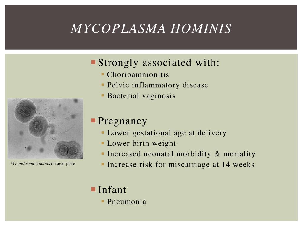 Mycoplasma pneumoniae igg positivo que significa