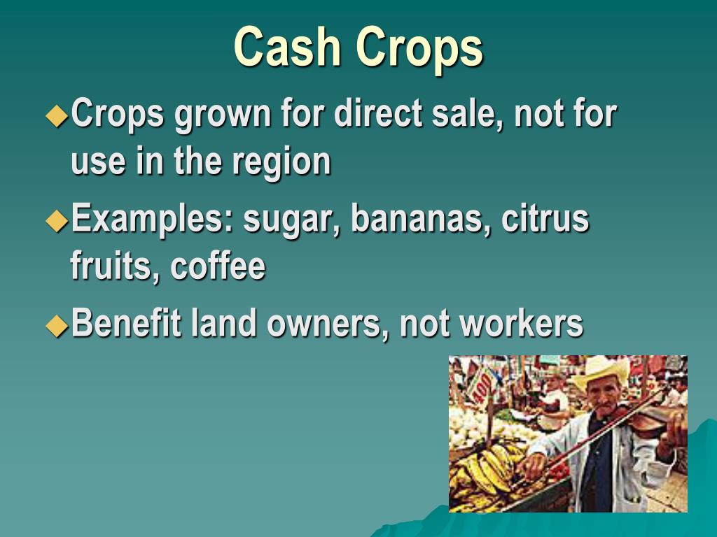 PPT Economics in Latin America PowerPoint Presentation, free download ID4126194