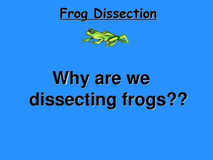 frog dissection n.