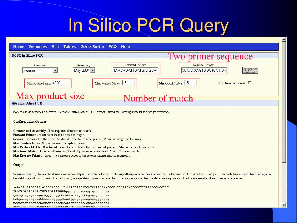 PPT A Gentle Introduction To UCSC Genome Browser PowerPoint PPT A Gentle Introduction To UCSC Genome Browser PowerPoint