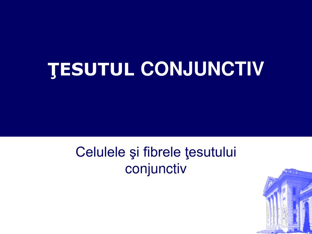 gandlicitat.ro - Ţesutul conjunctiv (5) - Regenerarea țesutului conjunctiv fibros liber