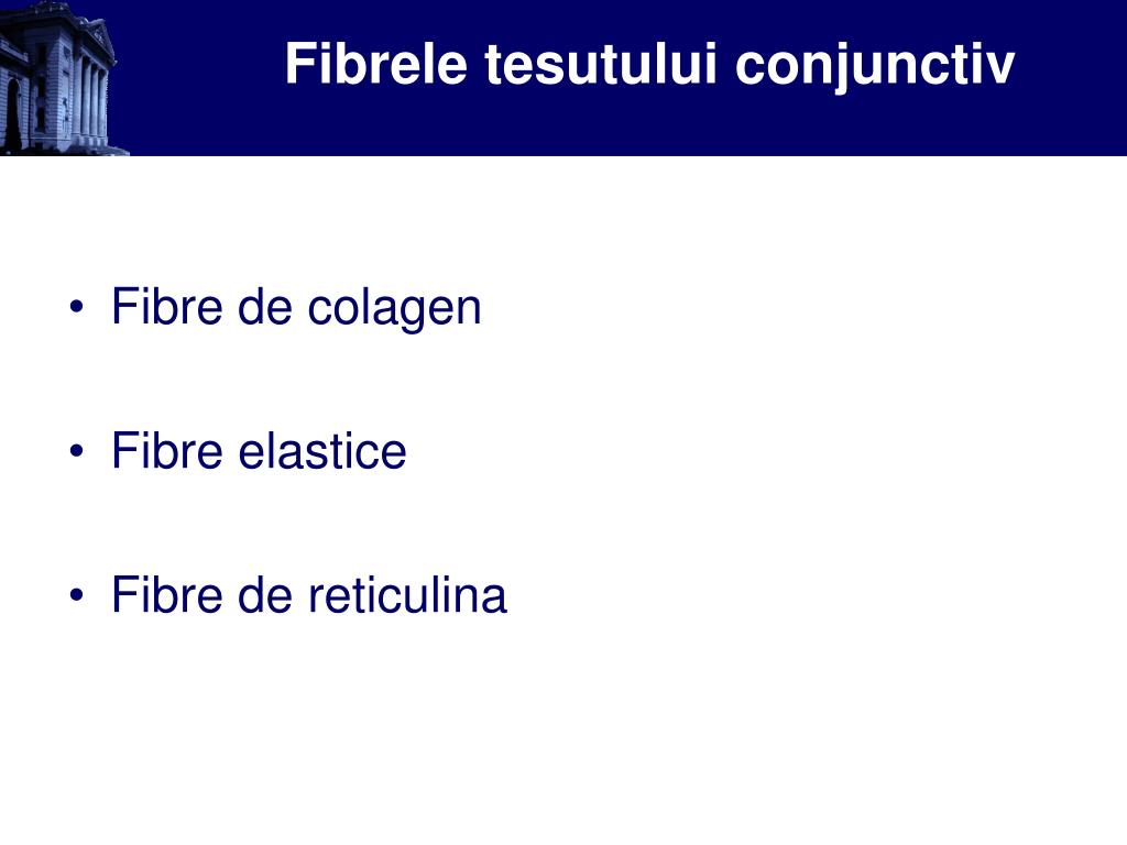 Regenerarea țesutului conjunctiv fibros liber. Tesutul conjunctiv - Structura tesutului conjunctiv