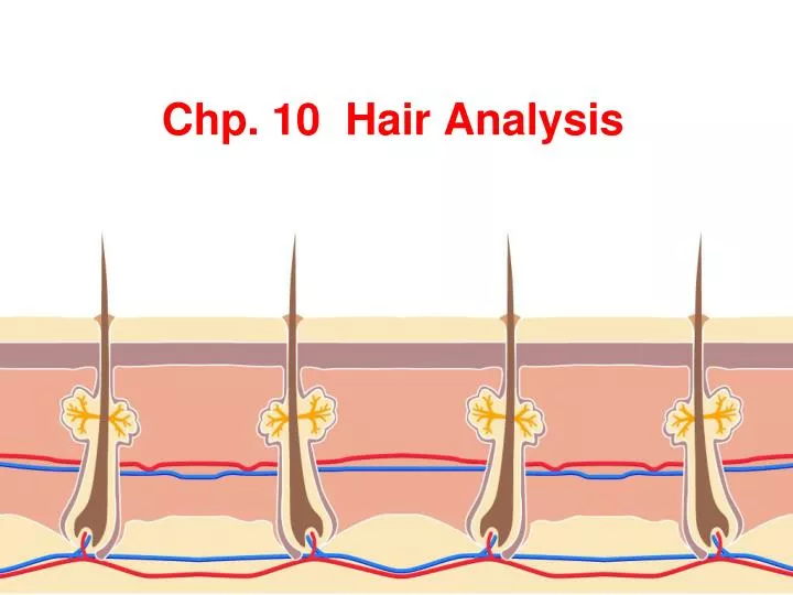 chp 10 hair analysis n.