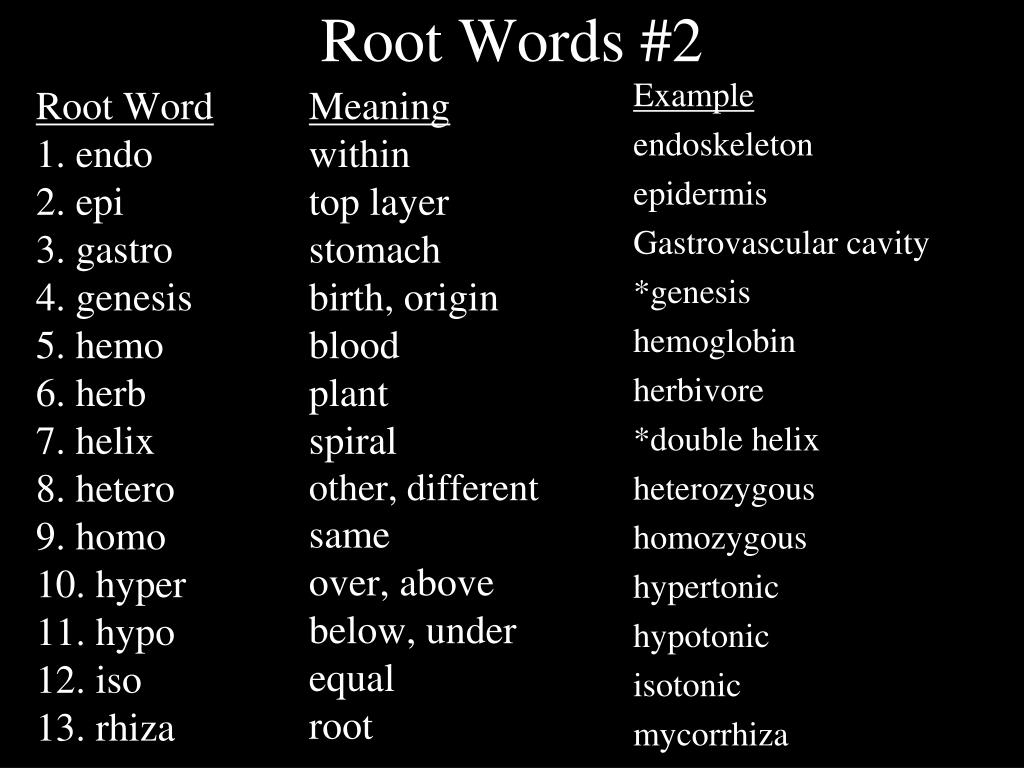 root word powerpoint