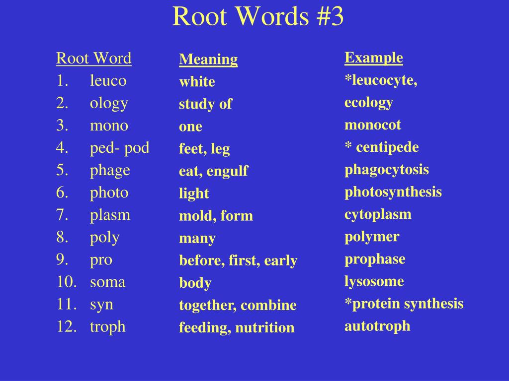 Root words are