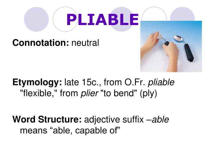 PPT Level E Unit 1 Vocabulary PowerPoint Presentation ID4135162