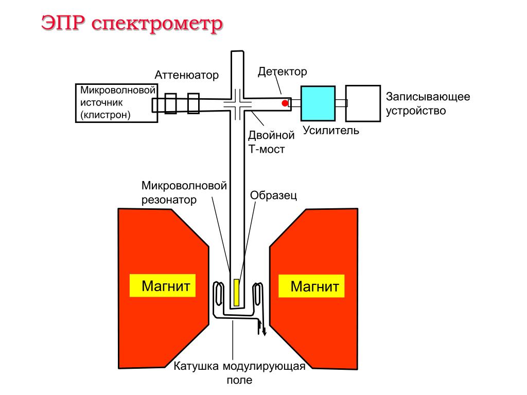 Детектор зачем. Спектрометр электронного парамагнитного резонанса. Электронный парамагнитный резонанс ЭПР. Схема спектрометра электронного парамагнитного резонанса. Схема ЯМР спектрометра.