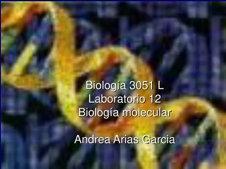 laboratorio no 12 biolog a molecular instructora andrea arias garcia n.