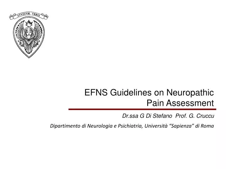 PPT EFNS Guidelines on Neuropathic Pain Assessment PowerPoint