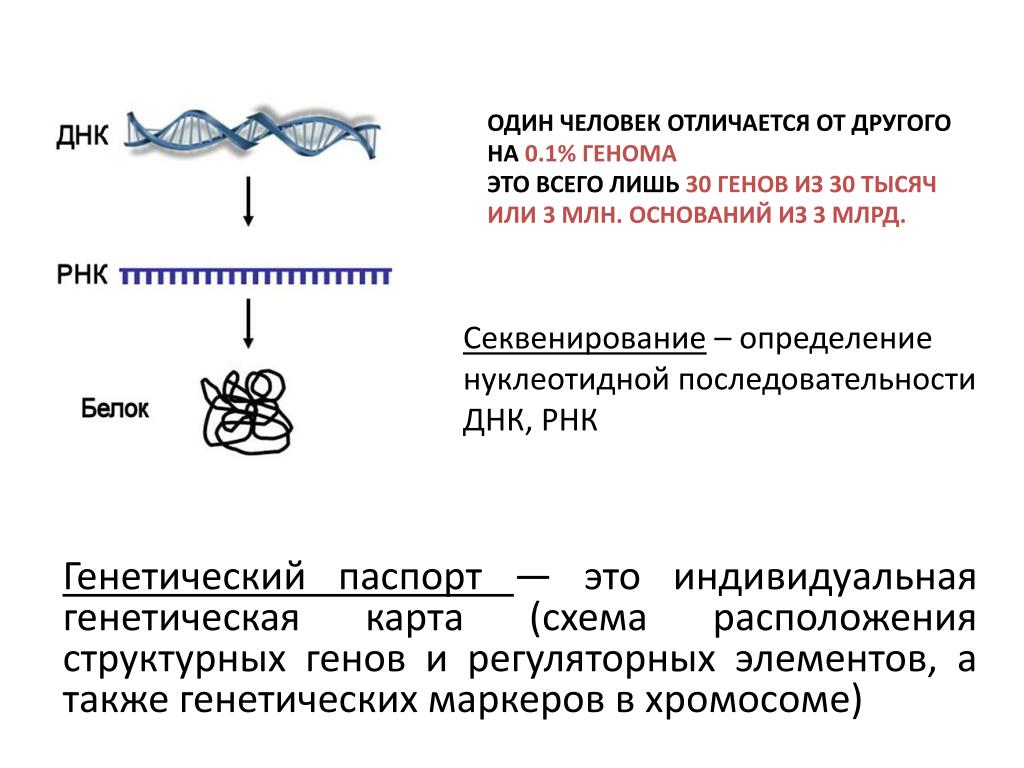 Секвенирование нуклеотидов. Секвенирование геномной ДНК. Секвенирование ДНК И РНК. Секвенирование нуклеиновых кислот. Секвенирование метод в биологии.