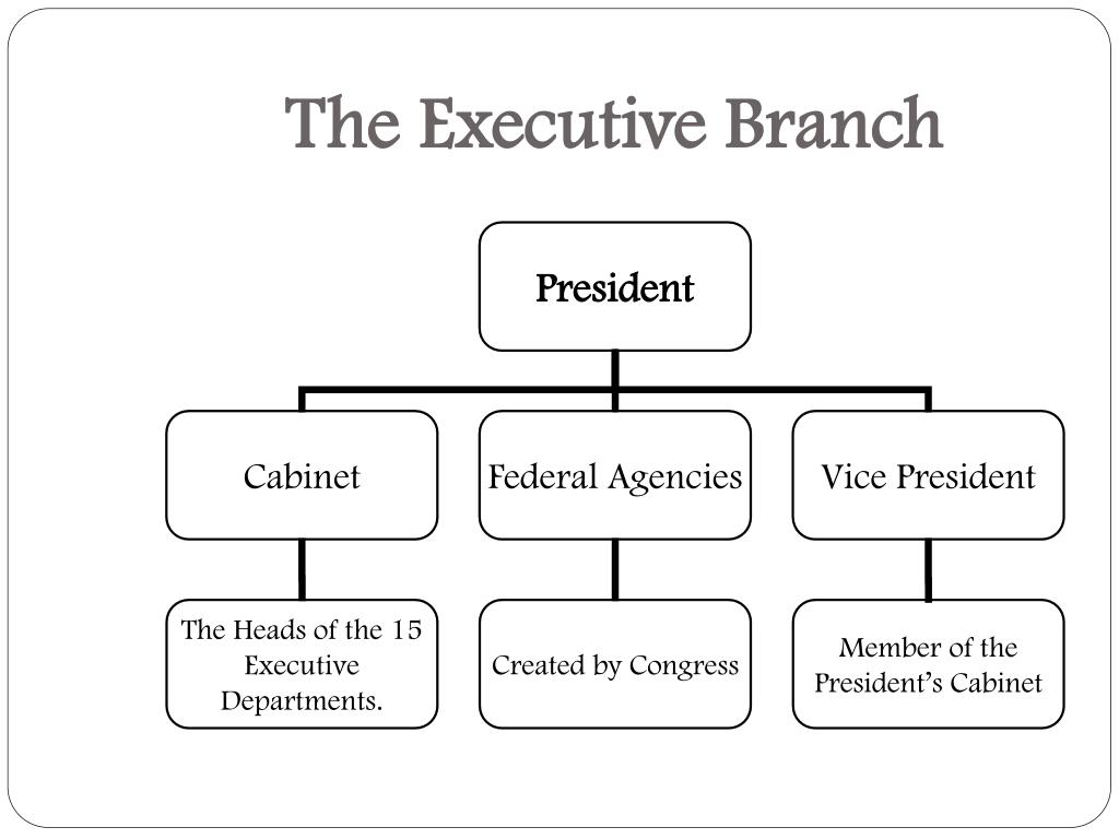 Questions government. Executive Branch. Executive Branch in the uk. Executive Branch USA. Executive Power.