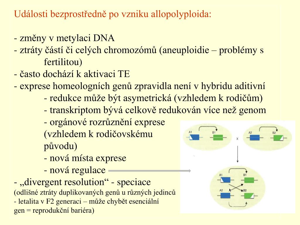 buku datování expres