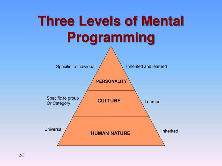 PPT - Individual Differences PowerPoint Presentation - ID:4143170