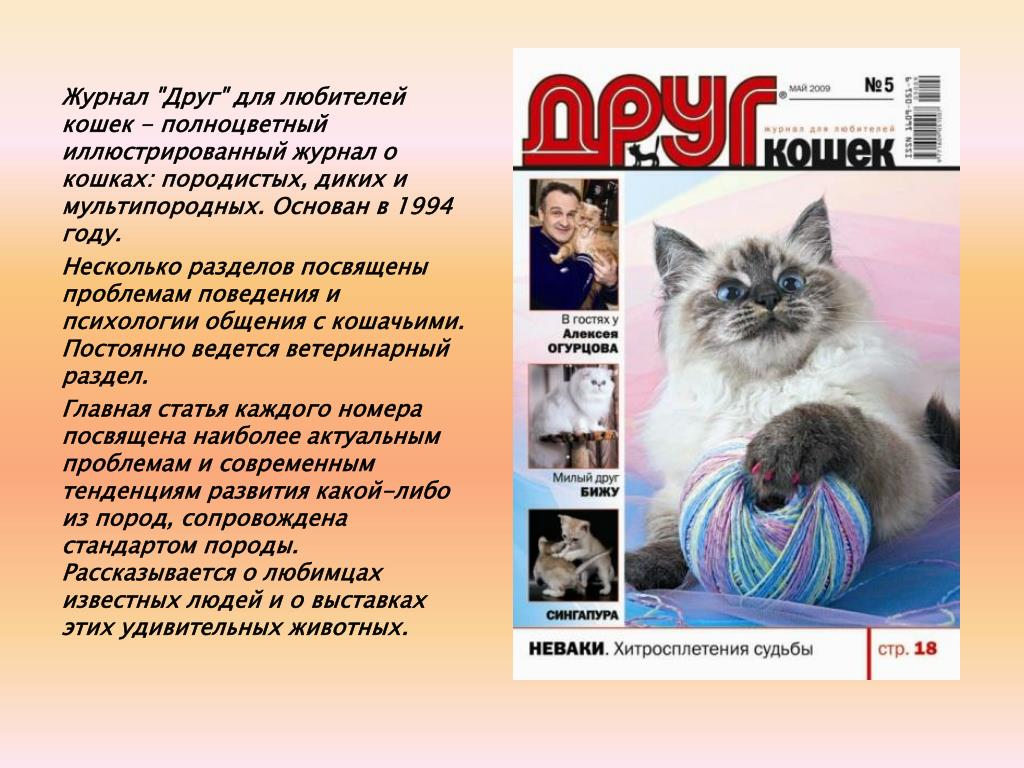 Сайт журнала друг. Журнал друг кошек. Журнал для любителей кошек. Журнал про кошек и собак. Журнал мой друг кошка.