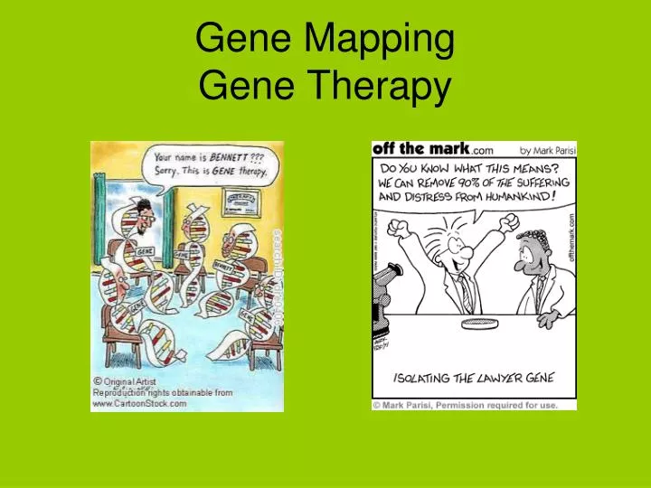 gene mapping gene therapy n.