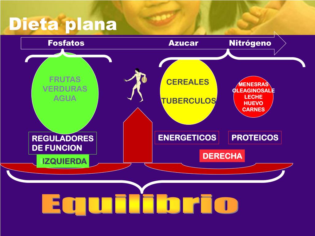 PPT 1 DIETA PLANA POR NIMER SIMEON MONTES Investigador Autodidacta PowerPoint Presentation