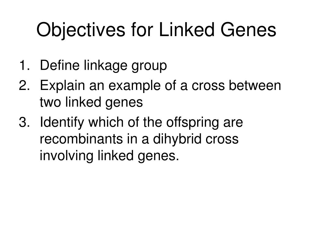 define linkage group