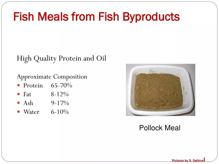 PPT Fish Meals from Fish Byproducts PowerPoint Presentation, free