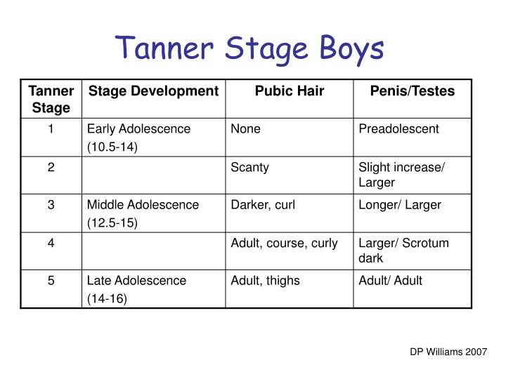 Tanner Chart Boys