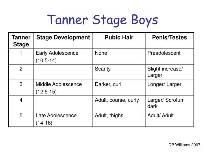 tanner scale chart Tanner escala