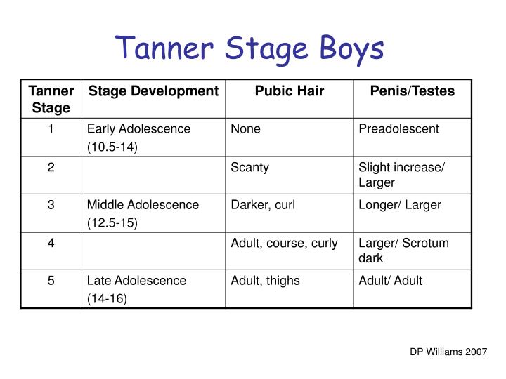 Stade Tanner Pubert Stade Pubertaire Tanner Fille CSKOQ