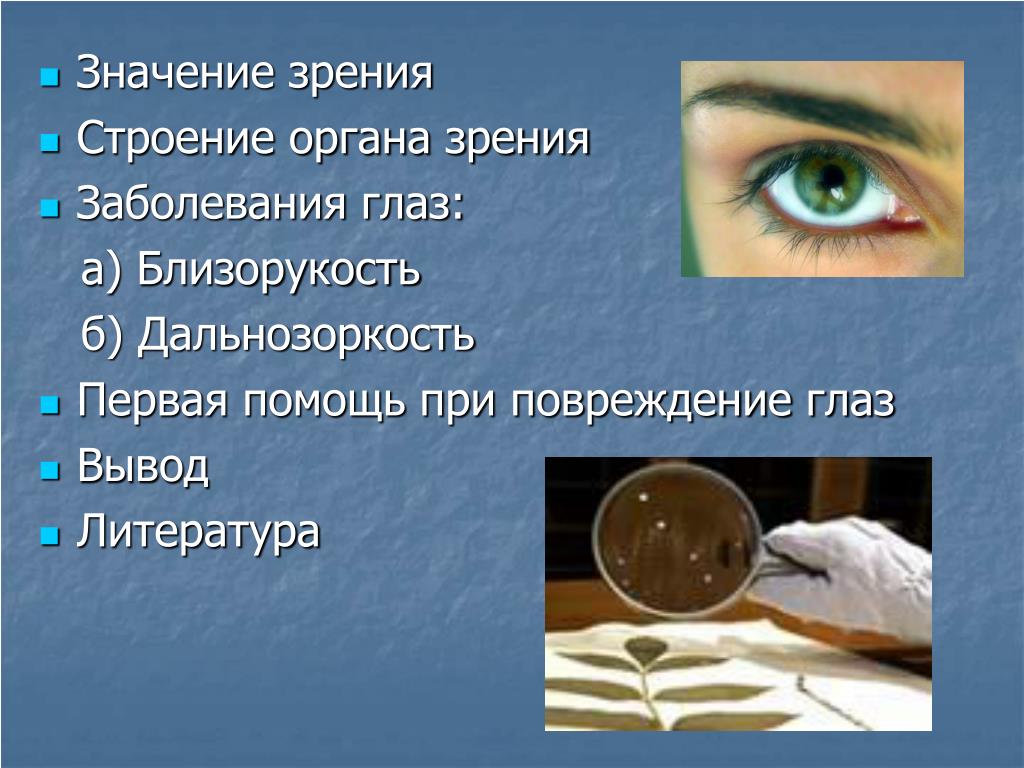 Заболевания и повреждения глаз. Значение зрения. Заболевания органов зрения. Значение органа зрения. Заболевания глаз вывод.