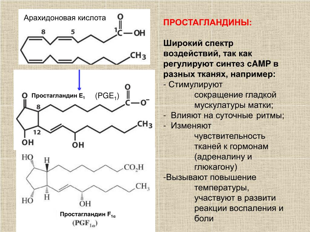 Арахидоновая кислота купить