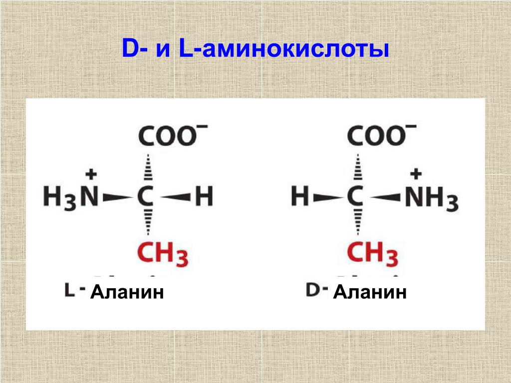Оптические аминокислоты. Формула л аминокислоты. Д И Л формы аминокислот. L И D аминокислоты. L аминокислоты и d аминокислоты.