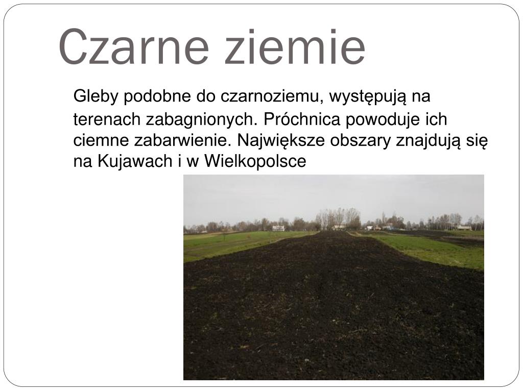 Gdzie Występują Czarnoziemy W Polsce PPT - Rodzaje gleb w Polsce PowerPoint Presentation, free download - ID