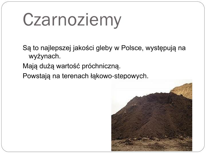 Gdzie Występują Czarnoziemy W Polsce PPT - Rodzaje gleb w Polsce PowerPoint Presentation - ID:4149553