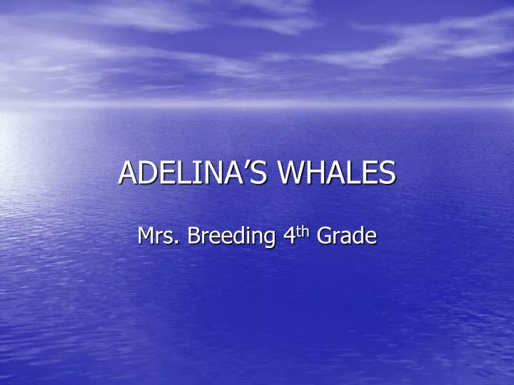 whale ban persausive essay whale ban persausive essay