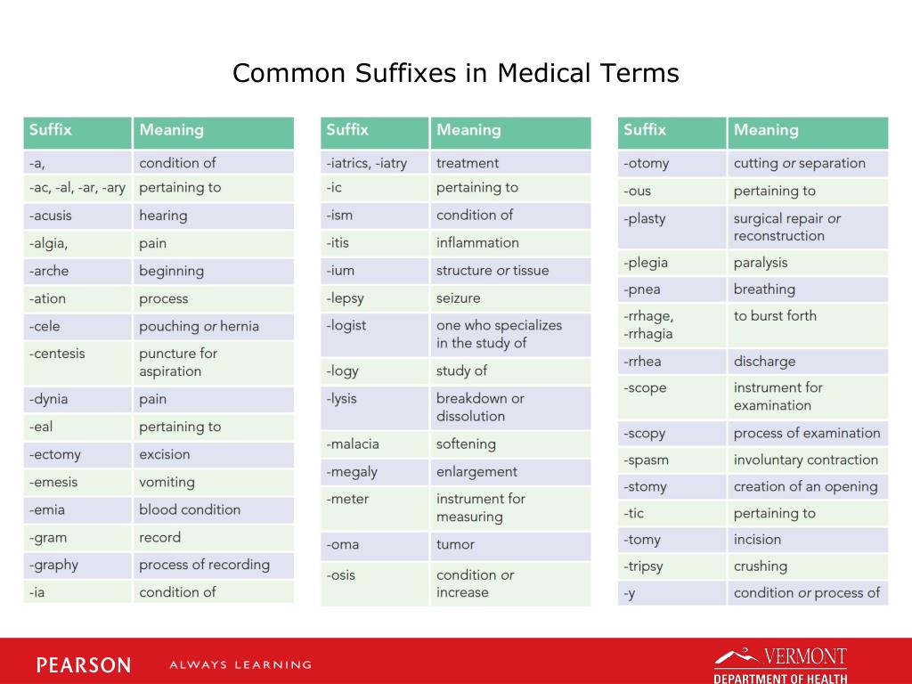 thesis suffix meaning medical terminology