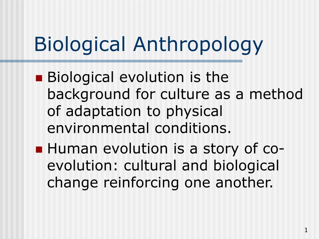 biological anthropology topics for research papers