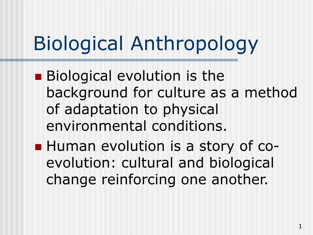 biological anthropology dissertation ideas