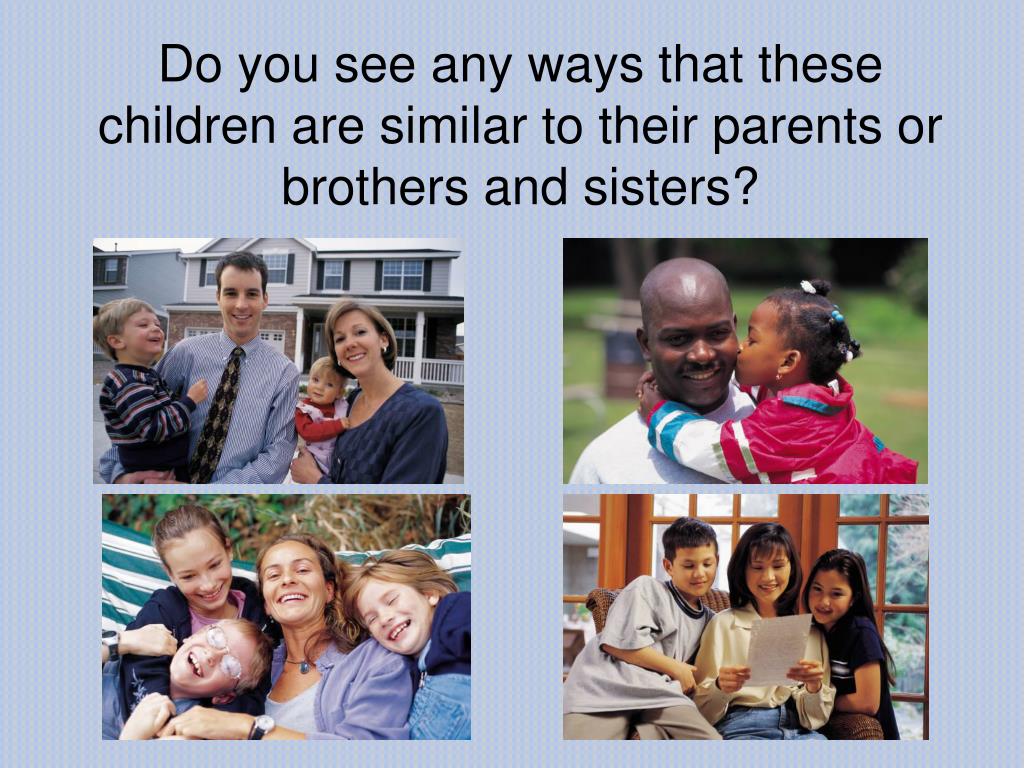 PPT - Heredity PowerPoint Presentation, free download - ID:4153157