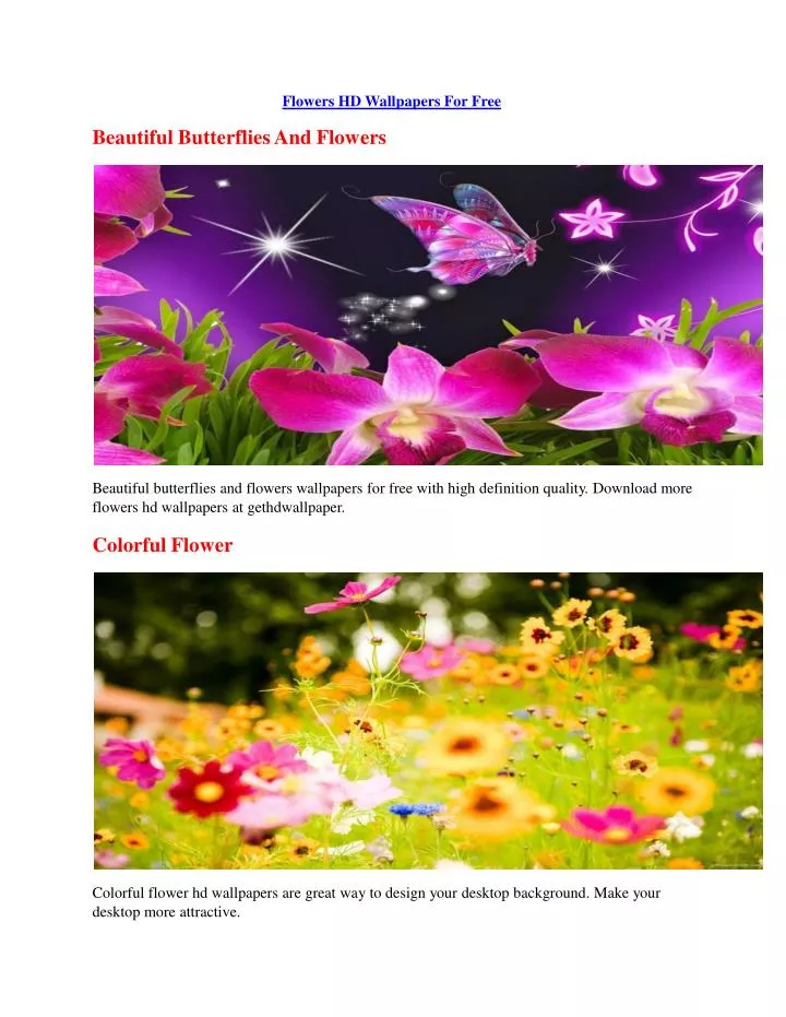 Ppt Download Flowers Hd Wallpapers With Standard Resolution