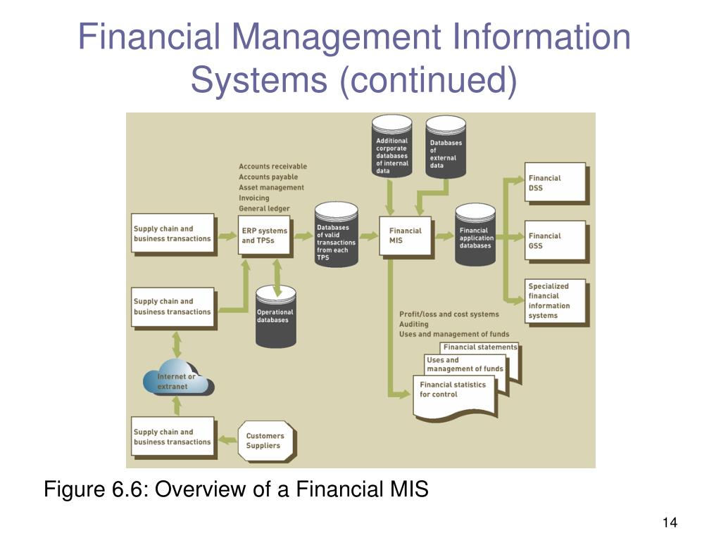 Financial Management Information System Ppt