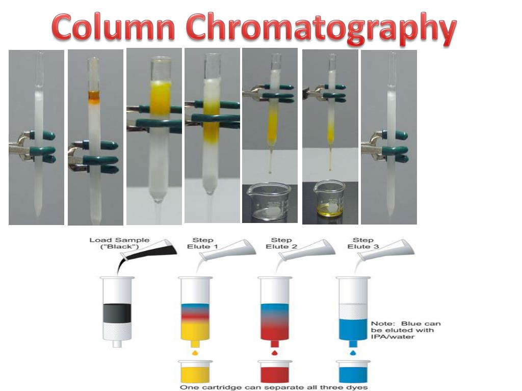 ppt-column-chromatography-powerpoint-presentation-free-download-id