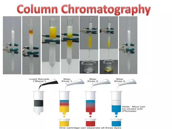 PPT - Column Chromatography PowerPoint Presentation, Free Download - ID ...