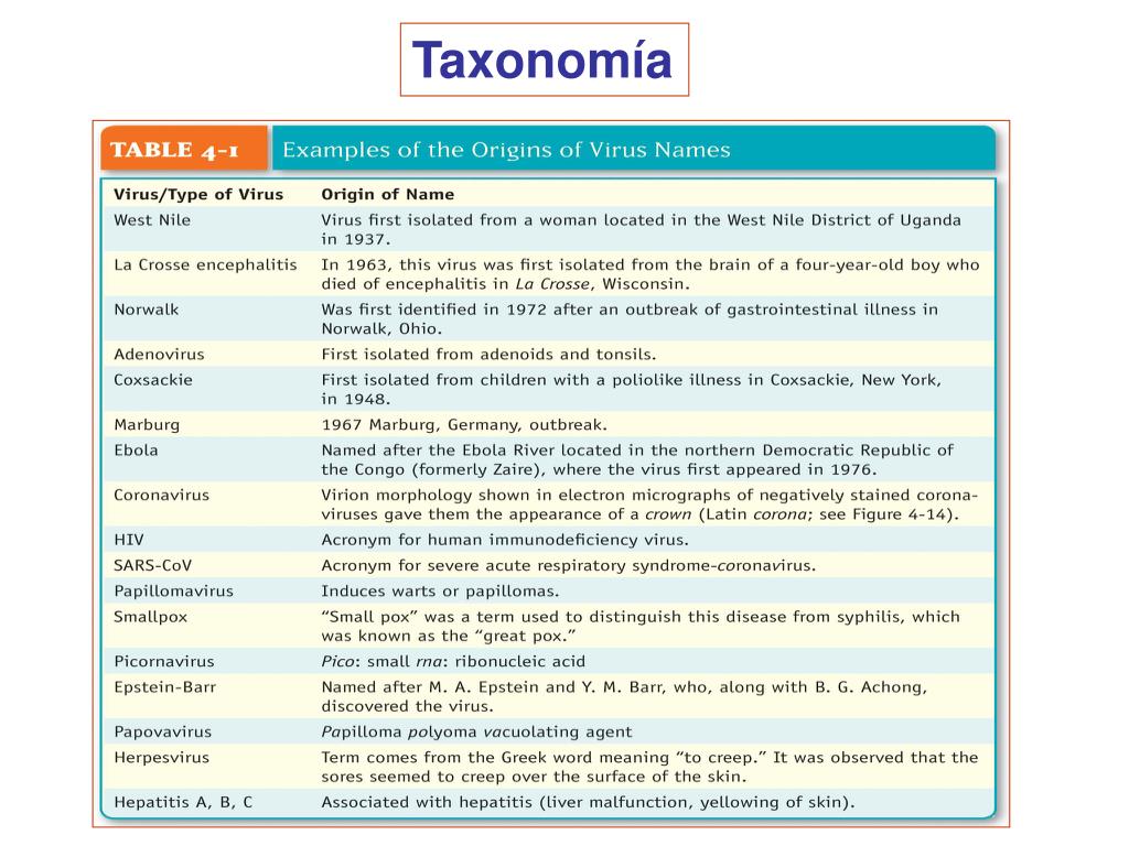 PPT Clasificación, estructura y morfología de los virus Tema 2