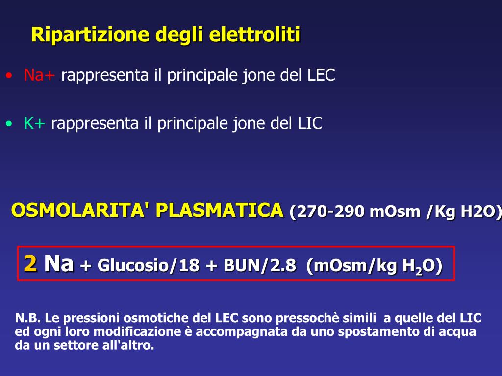 PPT - Dott. ssa Francesca Viazzi Nefrologia IV anno – 2005 PowerPoint  Presentation - ID:4163404